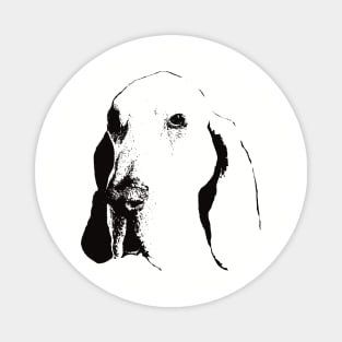 Bracco Italiano gift for Bracco Owners Magnet